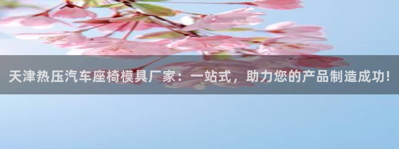易倍申在中国成功上市：天津热压汽车座椅模具厂家：一站式，