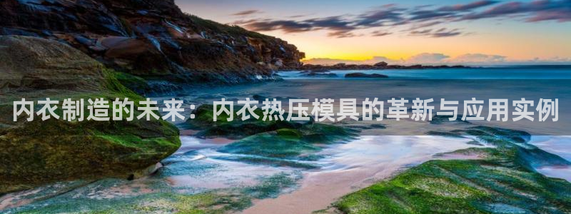 emc全站app下载：内衣制造的未来：内衣热压模具的革新