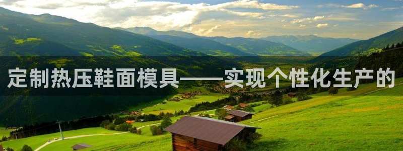 易倍纤代餐奶昔怎么样：定制热压鞋面模具——实现个性化生产