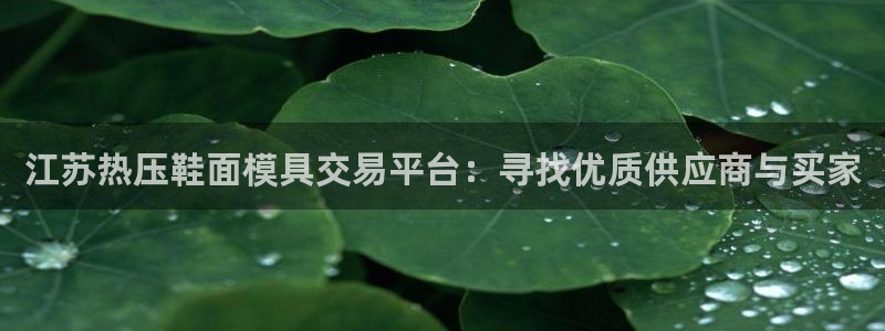 emc易倍app官网下载：江苏热压鞋面模具交易平台：寻找