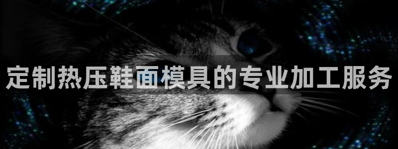 易倍网络技术有限公司招聘：定制热压鞋面模具的专业加工服务