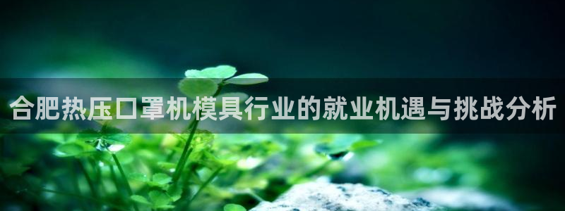 Emc易赔体育：合肥热压口罩机模具行业的就业机遇与挑战分