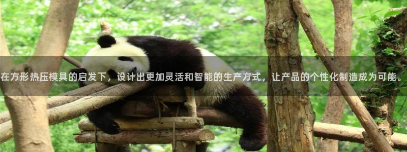 易倍达科技有限公司代运营：在方形热压模具的启发下，设计出
