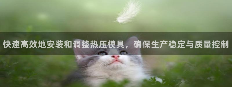 易倍申片的副作用：快速高效地安装和调整热压模具，确保生产