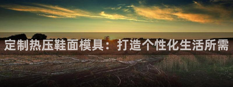emc频率范围：定制热压鞋面模具：打造个性化生活所需