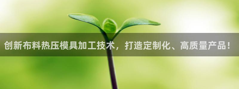 emc倍频超了：创新布料热压模具加工技术，打造定制化、高