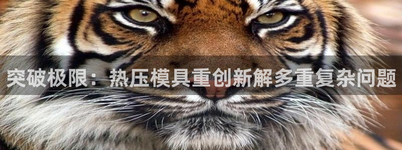 易倍申怎么样：突破极限：热压模具重创新解多重复杂问题