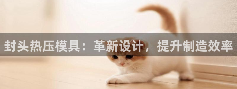 易倍纤酵素效果好吗