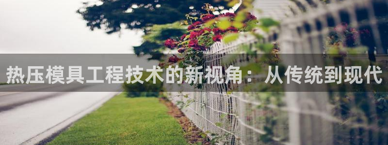 易倍网络技术有限公司是干嘛的