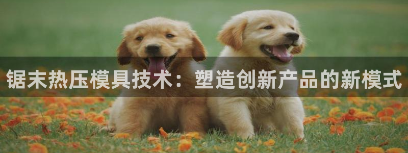 易倍单词如何下载：锯末热压模具技术：塑造创新产品的新模式