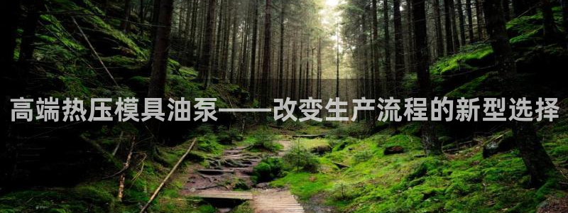 emc易倍平台:高端热压模具油泵——改变生产流程的新型选