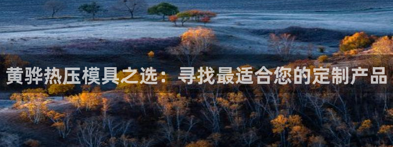 易倍全站：黄骅热压模具之选：寻找最适合您的定制产品