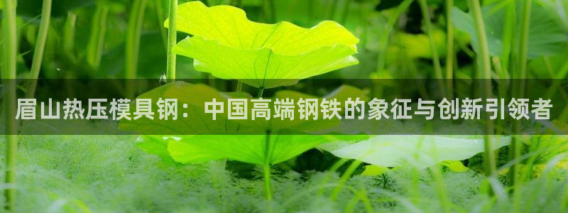 emc全站网页版:眉山热压模具钢:中国高端钢铁的象征与创