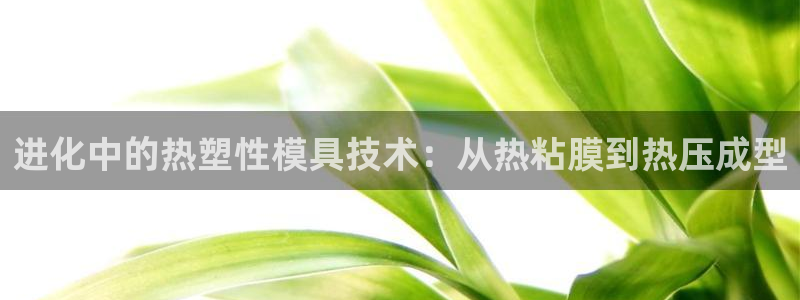 易倍申的副作用:进化中的热塑性模具技术:从热粘膜到热压成