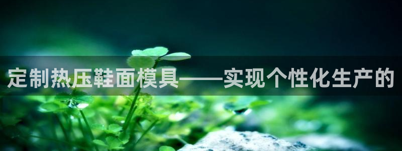 易倍达科技有限公司代运营:定制热压鞋面模具——实现个性化