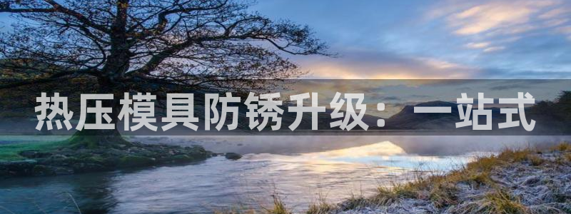 emc服务器是什么：热压模具防锈升级：一站式