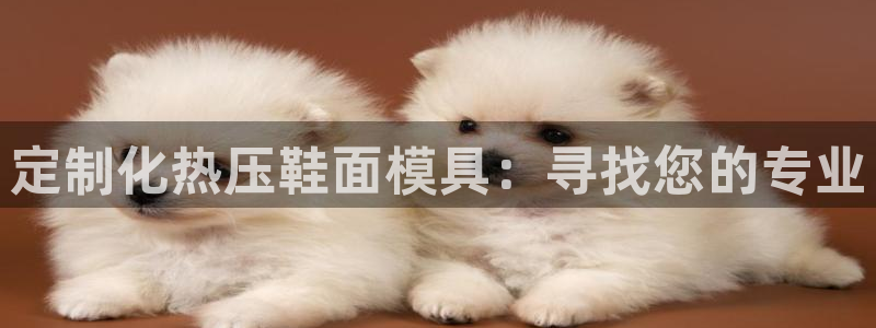 易倍纤代餐奶昔减肥效果怎么样:定制化热压鞋面模具:寻找您