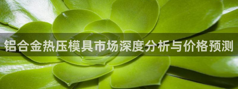 易倍纤代餐奶昔怎么样：铝合金热压模具市场深度分析与价格预