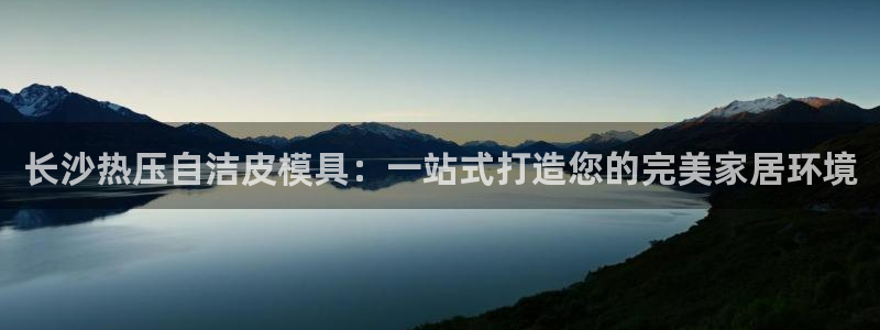 易倍达科技有限公司:长沙热压自洁皮模具:一站式打造您的完