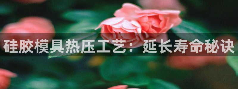 易倍企业管理软件