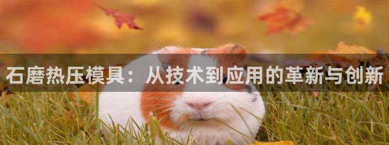 emc易倍官网首页进入：石磨热压模具：从技术到应用的革新