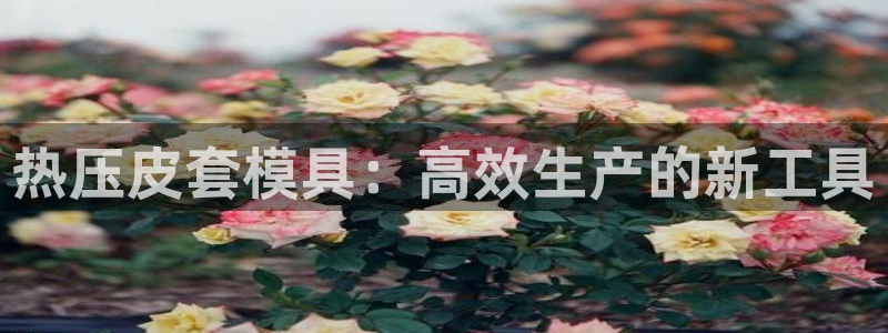 emc32软件使用说明：热压皮套模具：高效生产的新工具