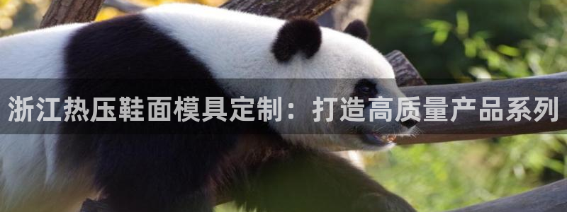易倍下载：浙江热压鞋面模具定制：打造高质量产品系列