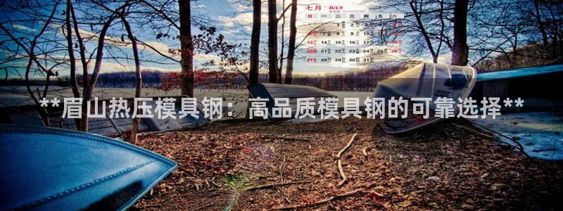 易倍下载手机版：**眉山热压模具钢：高品质模具钢的可靠选