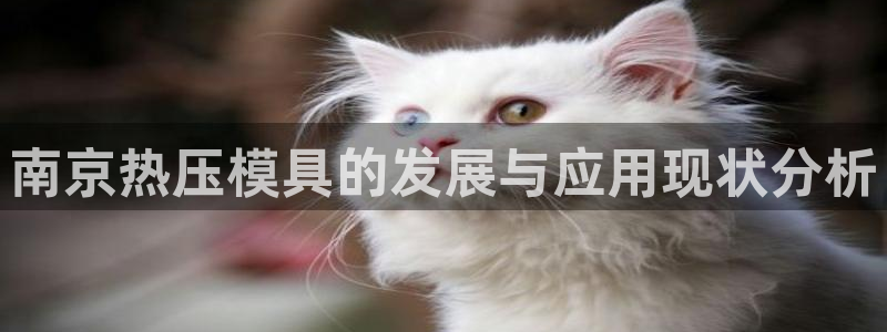 易倍纤酵素效果好吗：南京热压模具的发展与应用现状分析