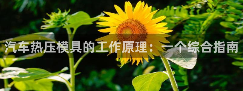 易倍网络技术有限公司怎么样