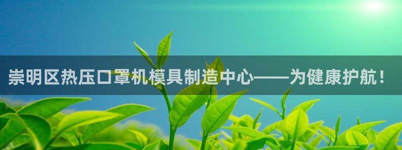 emc服务器是什么：崇明区热压口罩机模具制造中心——为健