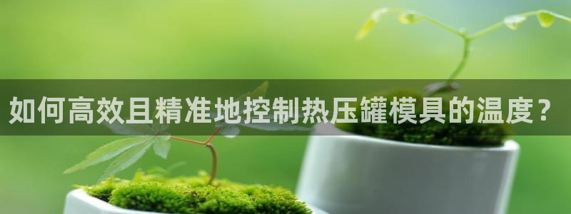 易倍单词登录网站:如何高效且精准地控制热压罐模具的温度?