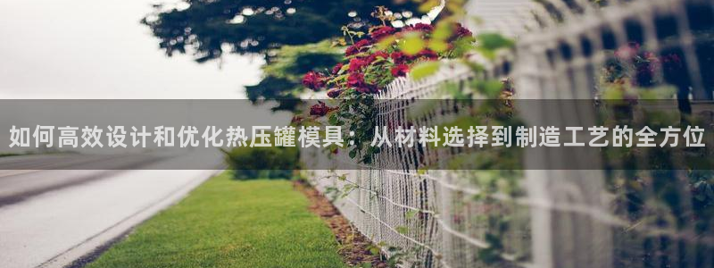 易倍申有用吗：如何高效设计和优化热压罐模具：从材料选择到