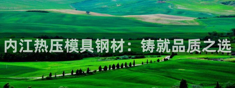 易倍申上市时间：内江热压模具钢材：铸就品质之选