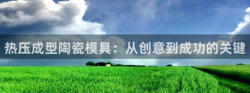 易倍申的副作用:热压成型陶瓷模具:从创意到成功的关键