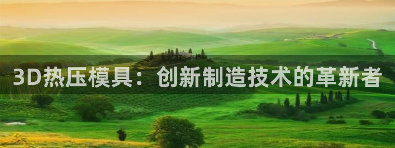 易倍申片能长期服用吗：3D热压模具：创新制造技术的革新者