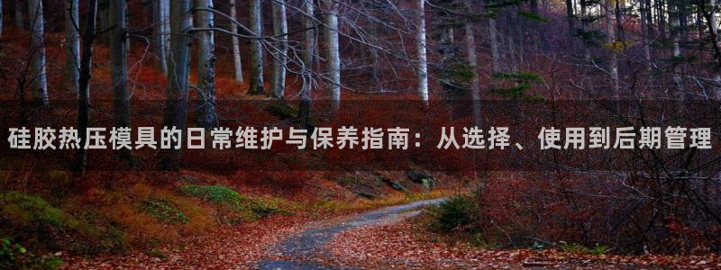 emc倍频超了：硅胶热压模具的日常维护与保养指南：从选择