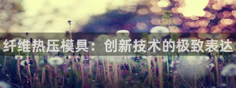 易倍申片的副作用：纤维热压模具：创新技术的极致表达