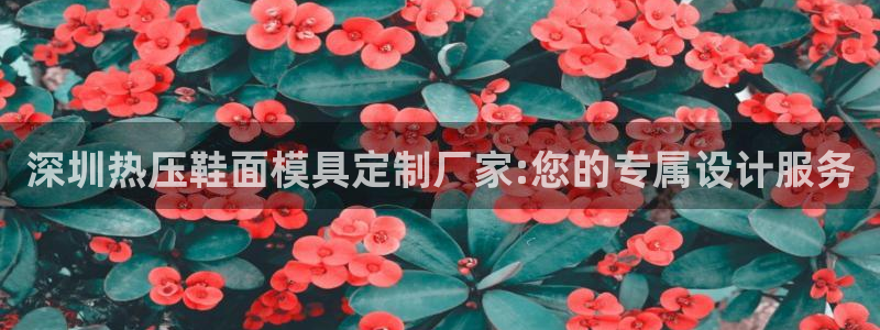 emc易倍官网：深圳热压鞋面模具定制厂家:您的专属设计服