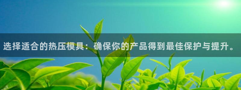易倍纤代餐奶昔减肥效果怎么样：选择适合的热压模具：确保你