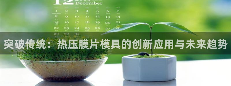 易倍达科技有限公司怎么样：突破传统：热压膜片模具的创新应