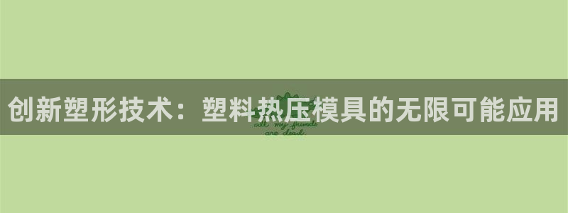 杭州易倍达科技有限公司怎么样:创新塑形技术:塑料热压模具