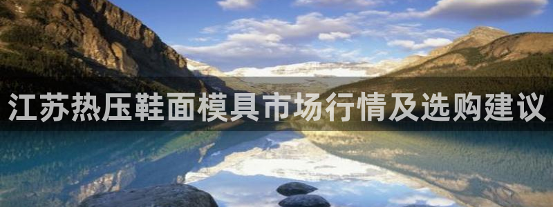 emc服务器是干啥的:江苏热压鞋面模具市场行情及选购建议