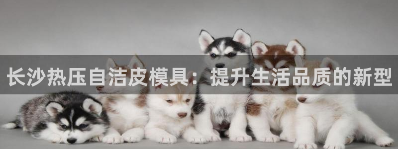 易倍达科技有限公司怎么样