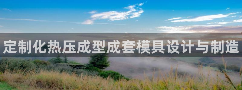 易倍单词平台:定制化热压成型成套模具设计与制造