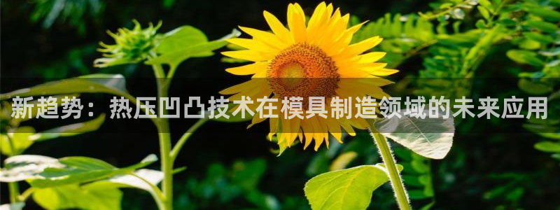易倍单词app下载