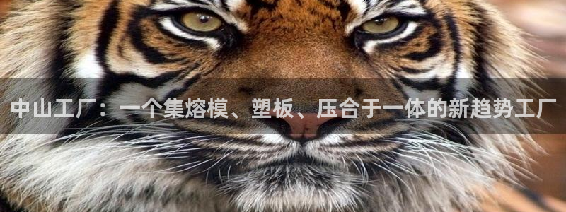 emc易倍电竞