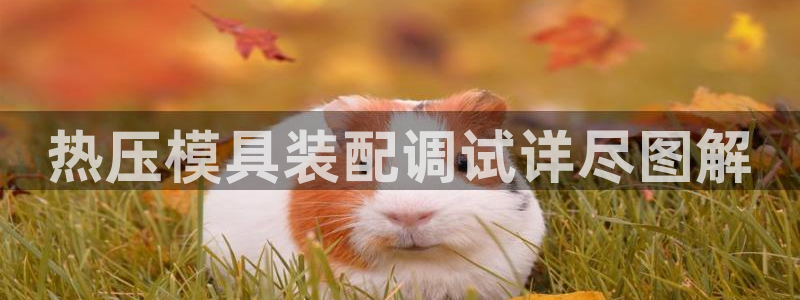 易倍纤奶昔减肥效果怎么样