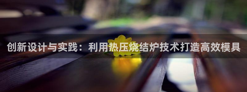 上海易倍投资有限公司