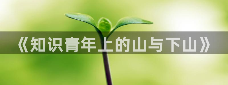 久久小说txt阅读：《知识青年上的山与下山》